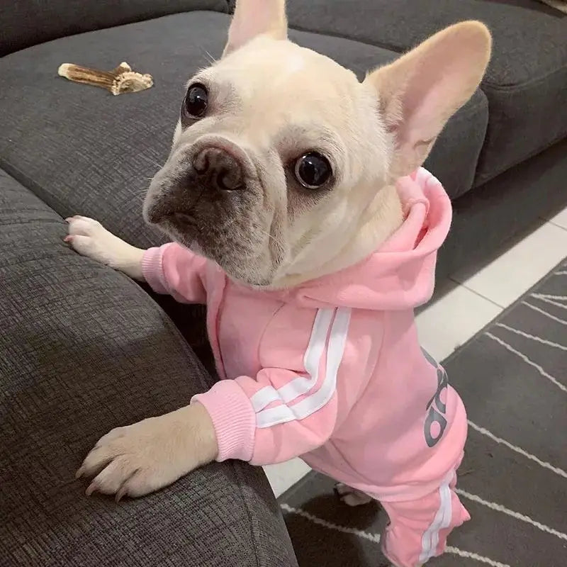 Adorable Pet Jumpsuit for Small to Medium Dogs - French Bulldog, Chihuahua, Pug